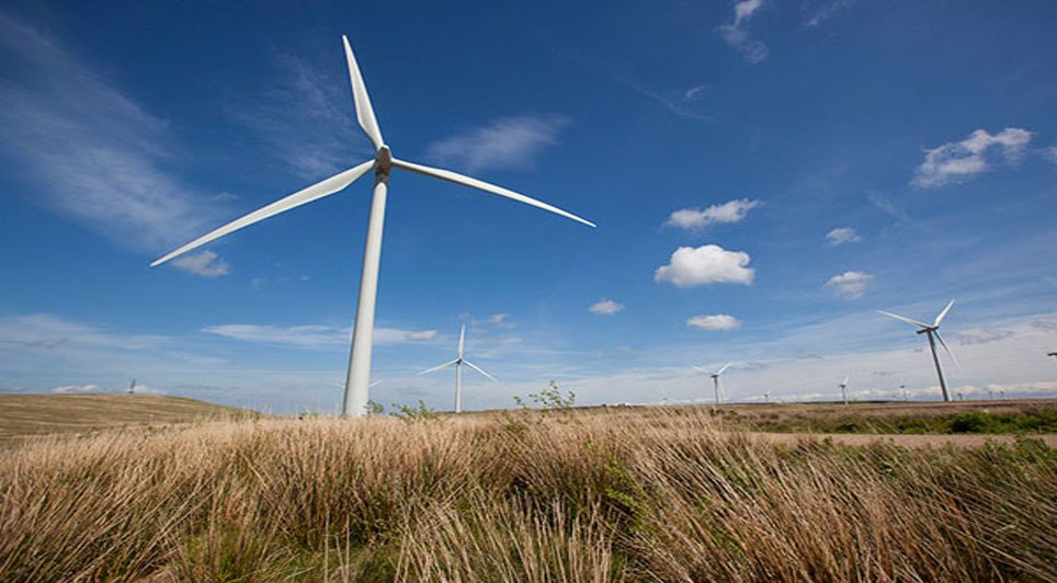 RenewableNI Warns Of Slow Progress And Calls For Urgent Policy Action