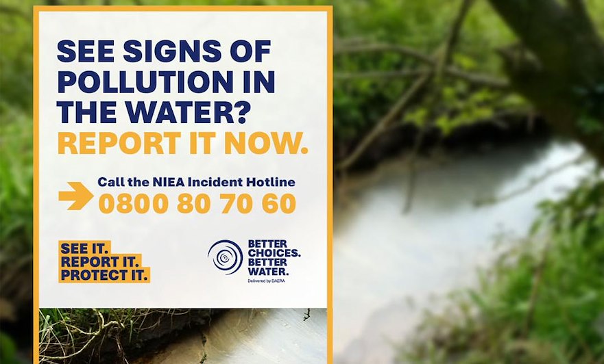 Part Of The Lough Neagh Action Plan