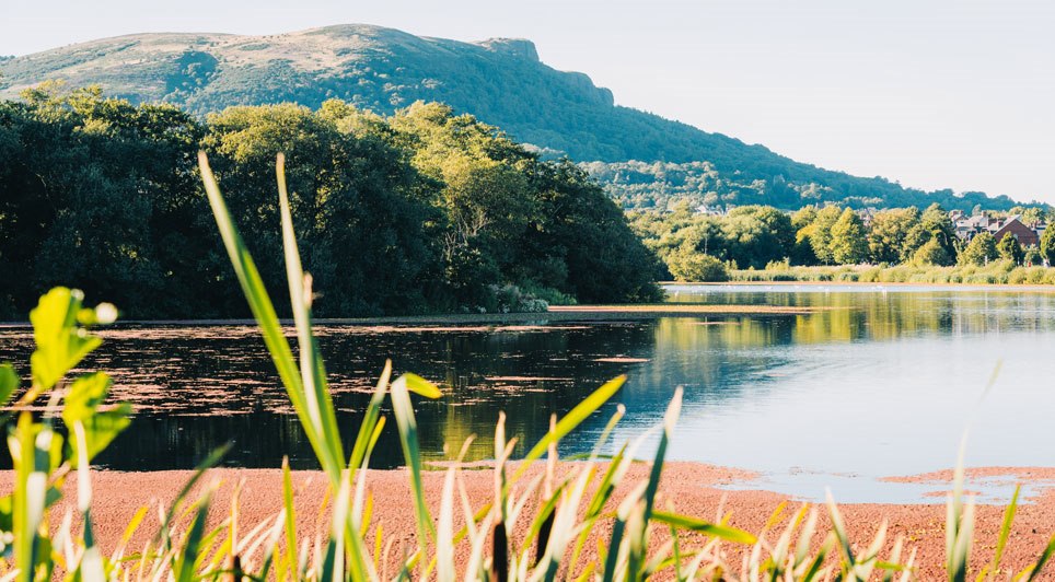 Long-Term Framework To Revive Habitats And The Natural Environment